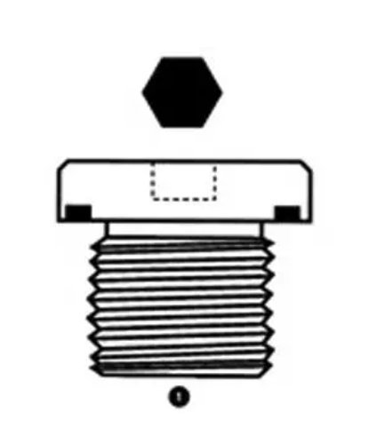 BSPP Plug (Hollow Hex Socket)