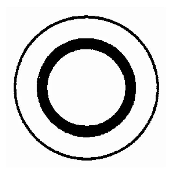 Bonded Seal (Viton)